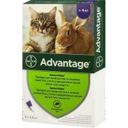 Advantage препарат для профилактики и лечения инвазии блох у кошек и декоративных кролей весом свыше 4 кг 1 пипетка 0,8 мл