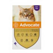 Advocate для котов массой от 4 до 8 кг эндоэктоцид спот-он применения 1 пипетка 0,8 мл