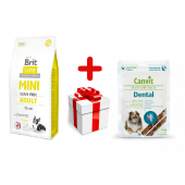 Brit Care Mini Grain Free сухой корм для взрослых собак мелких пород с ягнёнком (целый мешок 7 кг) + Canvit Dental Snack