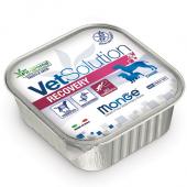 Vet Soulution Recovery восстановительная диета для ослабленных собак 150 гр