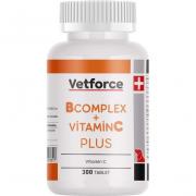Vetforce B Complex + Vitamin C Plus источник витаминов B и C для собак, 300 таблеток