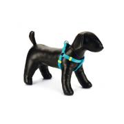 Beeztees Nylon harness Uni шлейка для собак, бирюзовая, 26-40 см × 10 мм
