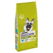 Dog Chow корм для собак крупных пород старше 2 лет с индейкой (на развес)