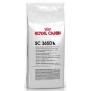 Royal Canin SC365D экономичный сухой корм для кошек (целый мешок 15 кг)