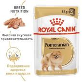 Royal Canin  Adult Pomeranian Bone & Join Support влажный корм для взрослых собак породы шпиц 85 г