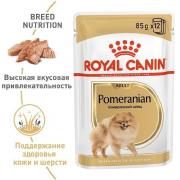 Royal Canin  Adult Pomeranian Bone & Join Support влажный корм для взрослых собак породы шпиц 85 г