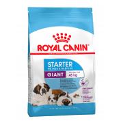 Royal Canin Giant Starter сухой корм для щенков гигантских пород до 2 месяцев, беременных  и кормящих сук (целый мешок 15 кг)
