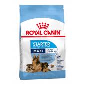 Royal Canin Maxi Starter сухой корм для щенков крупных пород  до 2-ух месяцев, беременных и кормящих сук (целый мешок 15 кг)