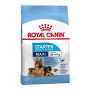 Royal Canin Maxi Starter сухой корм для щенков крупных пород  до 2-ух месяцев, беременных и кормящих сук (на развес)