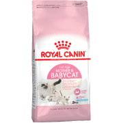 Royal Canin Mother&Babycat сухой корм для котят в возрасте от 1 до 4 месяцев, а так же для кошек в период беременности (целый мешок 10 кг)