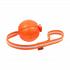 Collar Liker Line мячик на ленте для щенков и собак, оранжевый, Ø9 см