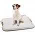 Ferplast Hygienic Pad Tray Small лоток для собак, 49 × 36 × 3 см