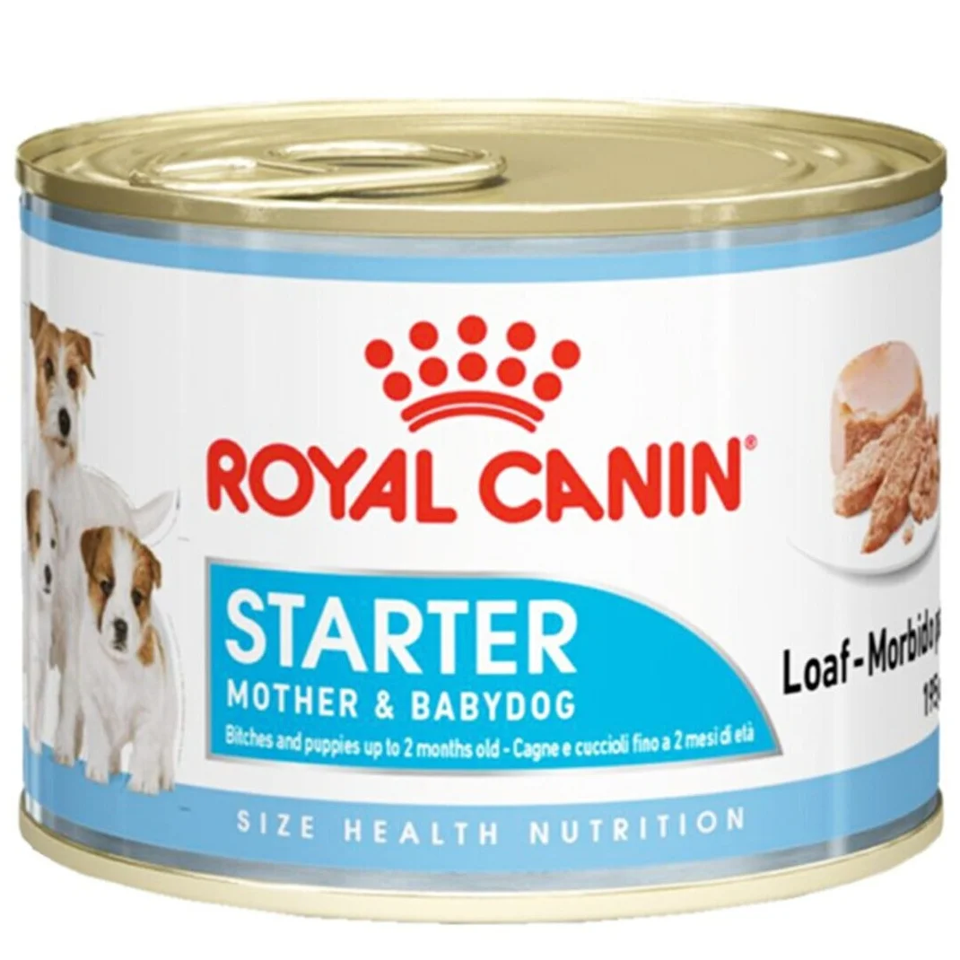 1010136-2 Royal Canin Mini Starter паштет для кормящих собак и щенков до 2-х месяцев, 195 г — изображение 1