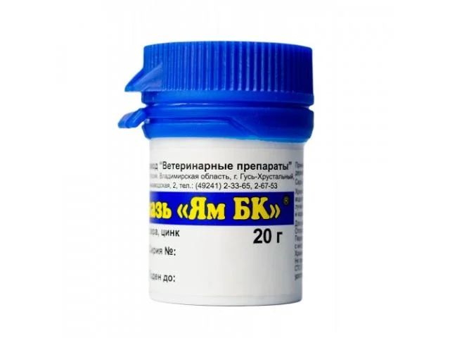 1030087 Мазь Ям БК, 20 г — изображение 1