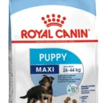 Royal Canin Maxi Puppy quru yemi 2 aydan 15 aya qədər böyük cinsli bala itlər üçün (toplu)