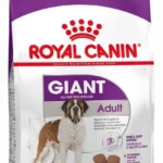 Royal Canin Giant Adult сухой корм для собак гигантских пород старше 18/24 месяцев (на развес)