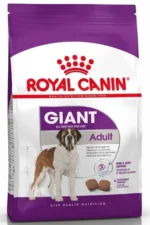18/24 aydan yuxarı nəhəng cins itlər üçün Royal Canin Giant quru yemi (toplu)