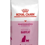 1 aydan 4 aya qədər olan bala pişiklər, eləcə də hamilə pişiklər üçün Royal Canin Mother & Babycat quru yemi (10 kq-lıq çanta)
