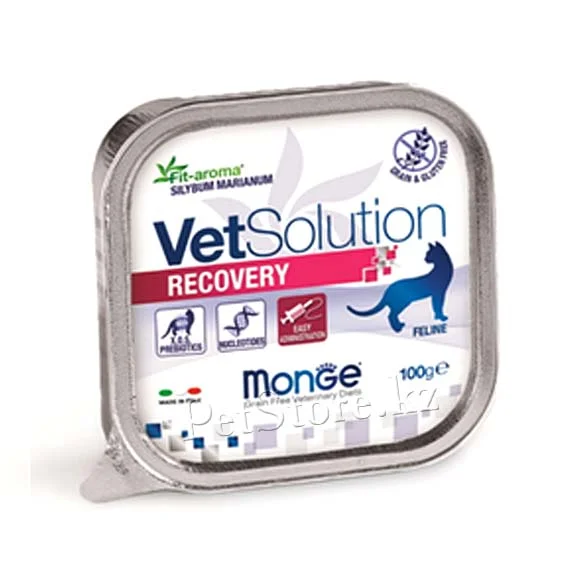 6010761 Monge Vet Soulution Recovery восстановительная высоко питательная диета для кошек 100 гр — изображение 1