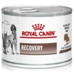 Royal Canin Recovery pişiklər və itlər üçün tam pəhriz qidasıdır, sağalma dövründə və ya pişiklərdə qaraciyər lipidozu üçün dəstəkləyici və bərpaedici qidalanma kimi tövsiyə olunur, 195 q