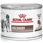 Royal Canin Recovery pişiklər və itlər üçün tam pəhriz qidasıdır, sağalma dövründə və ya pişiklərdə qaraciyər lipidozu üçün dəstəkləyici və bərpaedici qidalanma kimi tövsiyə olunur, 195 q