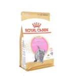 Royal Canin Kitten British Shorthair quru yemi Britaniya Shorthair pişik balaları üçün, 400 q
