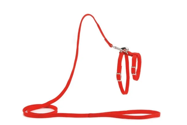 6021440 Beeztees шлейка нейлоновая с поводком для кошек, красный 130 см — изображение 1