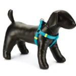 Beeztees шлейка для собак средних пород 15 мм 35-60 см, голубой