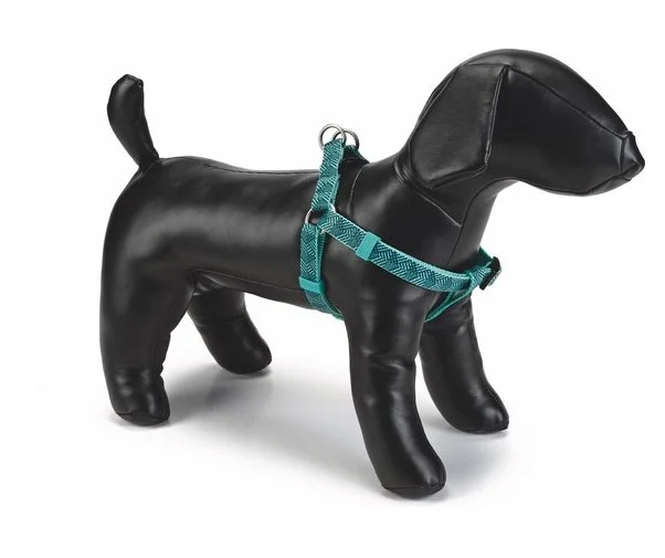 6022345-1 Beeztees нейлоновая шлейка для собак темно-зеленая 35-60 см, 15 мм — изображение 1