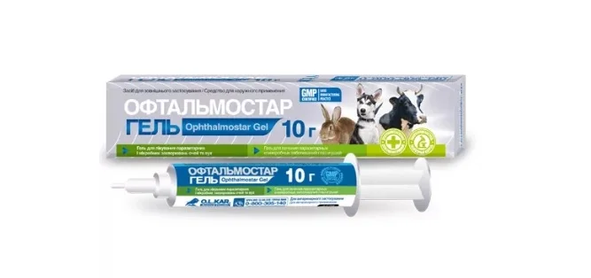 6022845 Офтальмостар гель для лечения паразитных и микробных заболеваний глаз и ушей для кроликов и собак 10 г — изображение 1