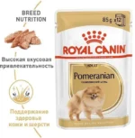 Royal Canin  Adult Pomeranian Bone & Join Support влажный корм для взрослых собак породы шпиц 85 г