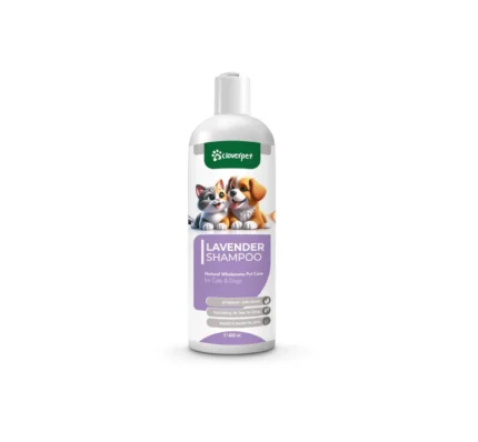 Cloverpet Lavender Shampoo for dog's and cat's шампунь Cloverpet с лавандой для собак и кошек, 400 мл