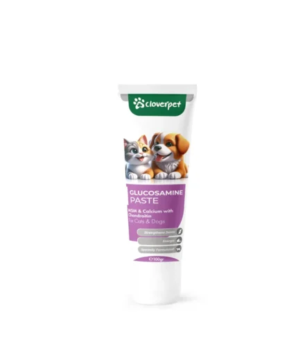Cloverpet Glucosamine Paste MSM & Calcium with chondroitin for cat's & dog's паста для кошек и собак с глюкозамином, MSM, кальцием и хондроитином, 100 мл