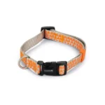 Beeztees Ошейник для собак Beeztees, светло-серый, оранжевый, 35-50 см