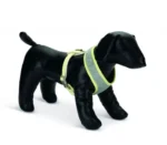 Beeztees Tənzimlənən Qoşqu Beeztees Harness, Boz, 240 - 340 mm x 120 mm, ‎12 x 24 x 34 cm