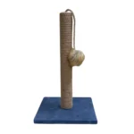 Casur Dırnaqqaşıyan Moda (30x30 sm, hündürlüyü 50 sm)