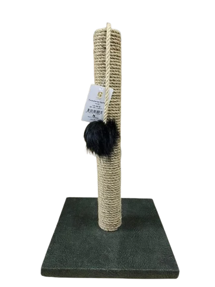 8534062 Casur Dırnaqqaşıyan Moda (30x30 sm, hündürlüyü 50 sm) - Şəkil 1